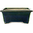 Rectangular green bonsai pot by Terahata Satomi Mazan - 197 x 168 x 70 mm