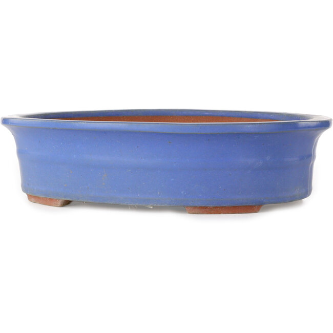 Oval blue bonsai pot - 355 x 290 x 85 mm