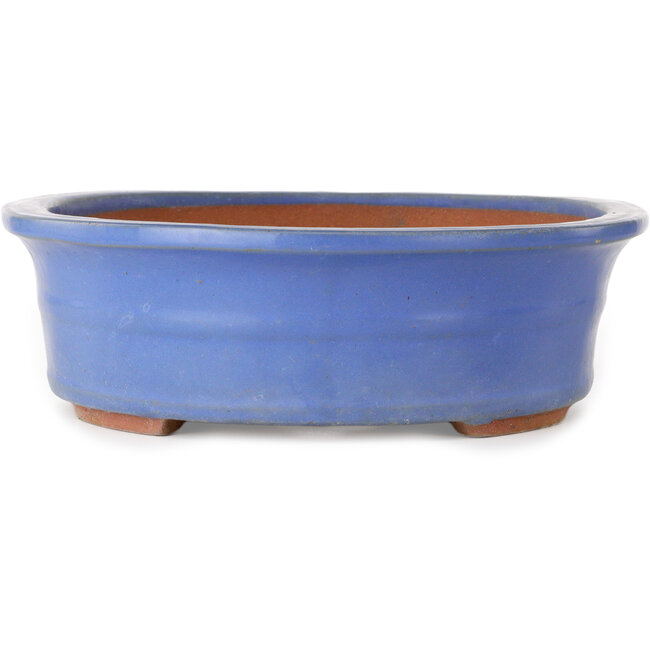 Oval blue bonsai pot - 355 x 290 x 85 mm