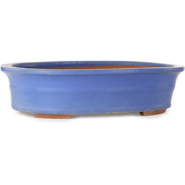 Oval blue bonsai pot - 355 x 290 x 85 mm