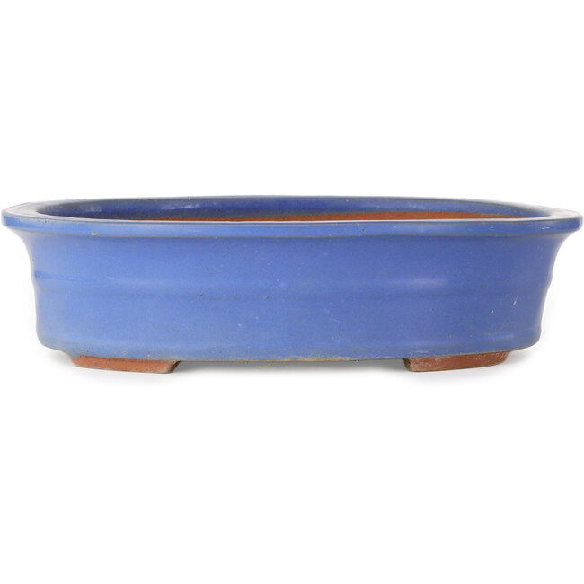 Oval blue bonsai pot - 355 x 290 x 85 mm