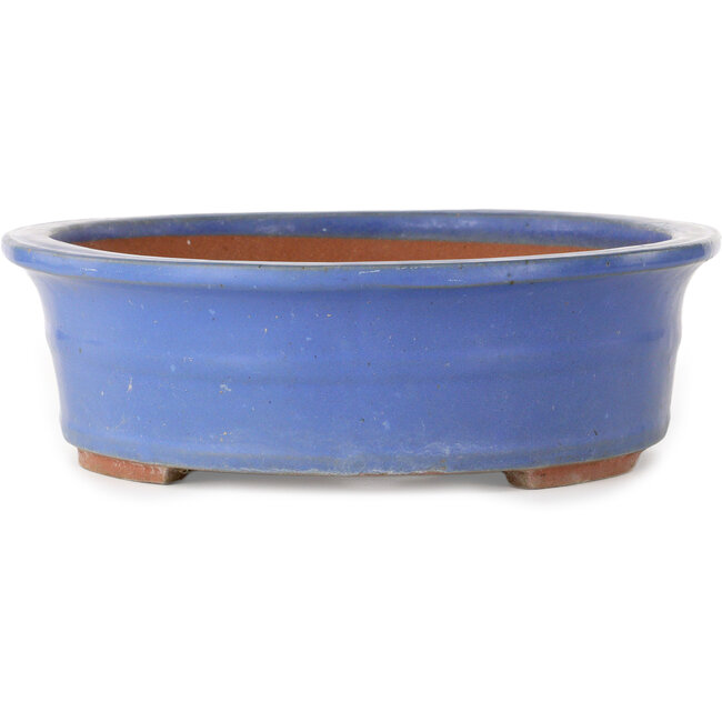 Oval blue bonsai pot - 355 x 290 x 85 mm