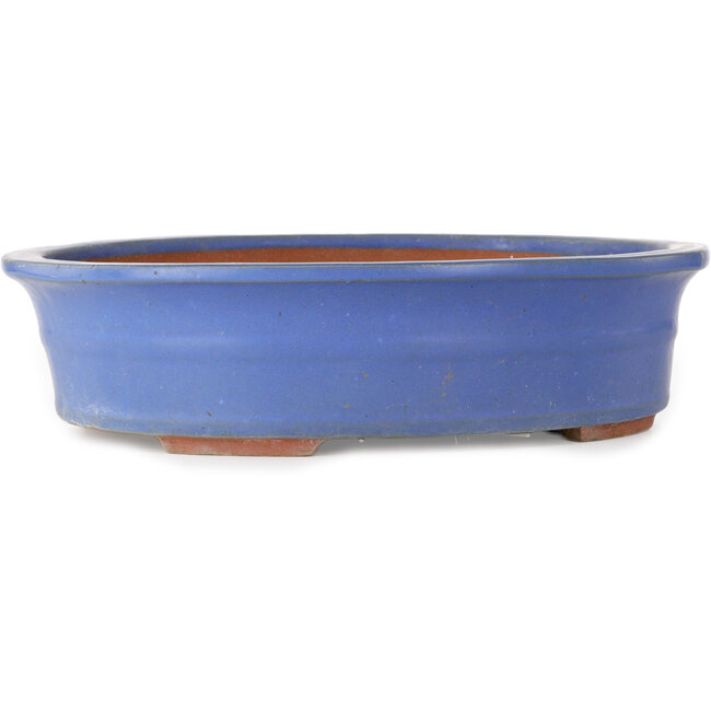 Oval blue bonsai pot - 355 x 290 x 85 mm