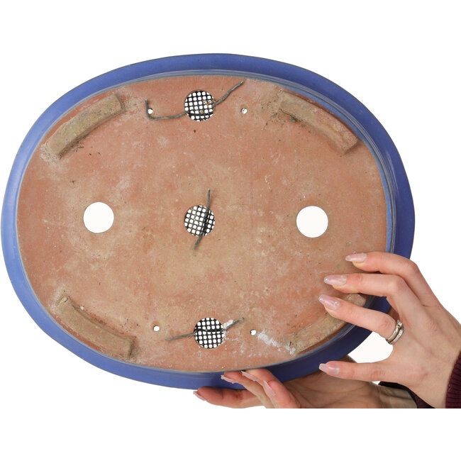 Oval blue bonsai pot - 355 x 290 x 85 mm