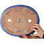 Oval blue bonsai pot - 355 x 290 x 85 mm