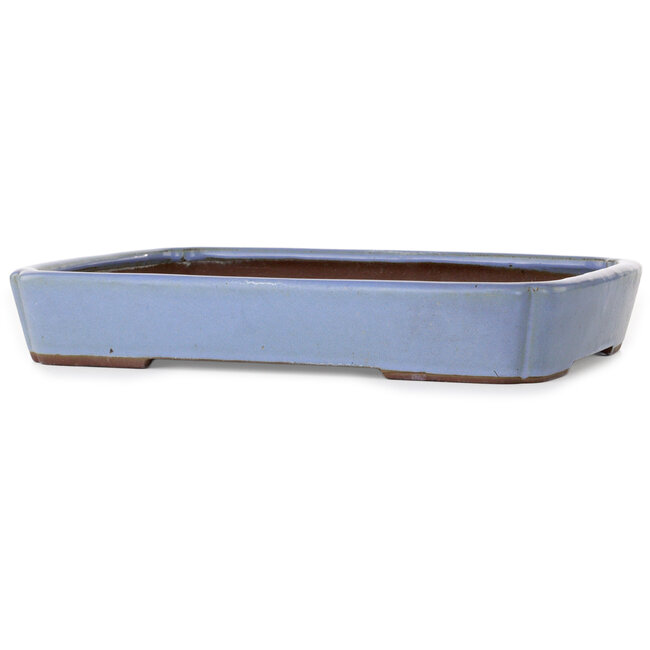 Maceta rectangular azul para bonsái de Yamaaki - 340 x 265 x 53 mm