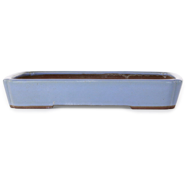 Oval blue bonsai pot by Yamaaki - 340 x 265 x 53 mm