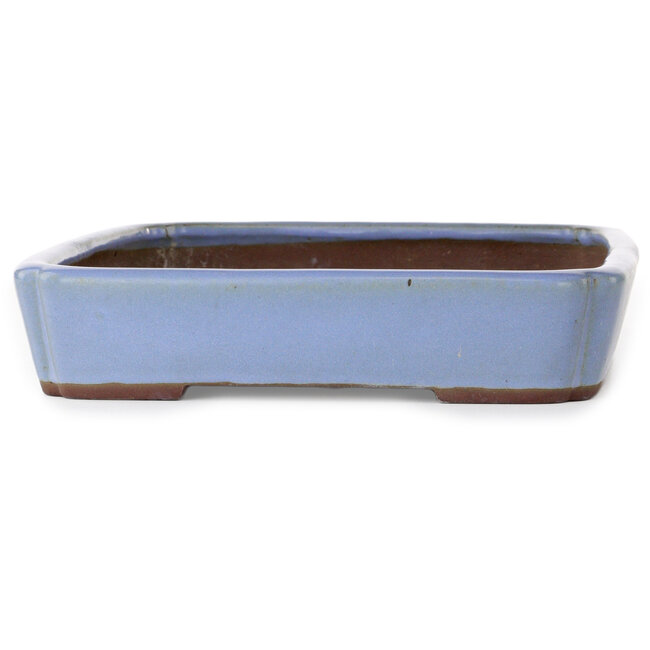 Pot à bonsaï rectangulaire bleu de Yamaaki - 340 x 265 x 53 mm