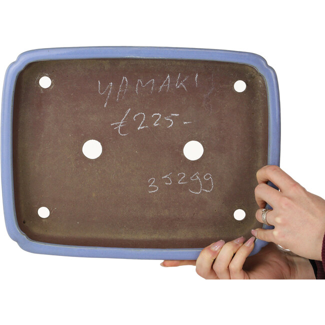 Oval blue bonsai pot by Yamaaki - 340 x 265 x 53 mm