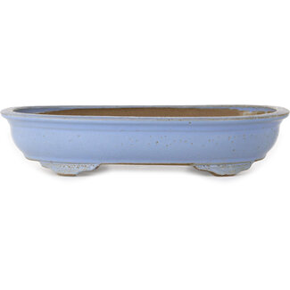  Shuuhou (Hidemi Kataoka) 330 mm oval light blue bonsai pot by Shuhou, Tokoname, Japan