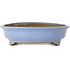 Oval light blue bonsai pot by Shuhou - 330 x 256 x 67 mm