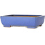 Rectangular blue bonsai pot by Reiho - 260 x 200 x 73 mm