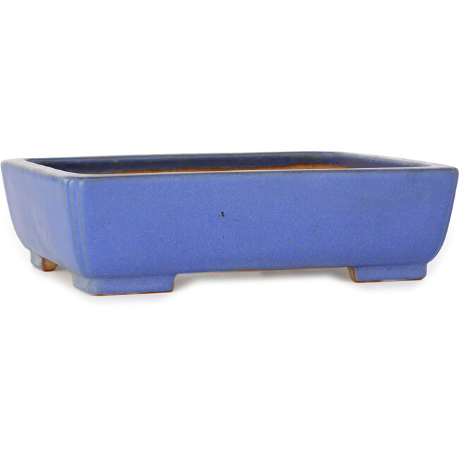 Rectangular blue bonsai pot by Reiho - 260 x 200 x 73 mm