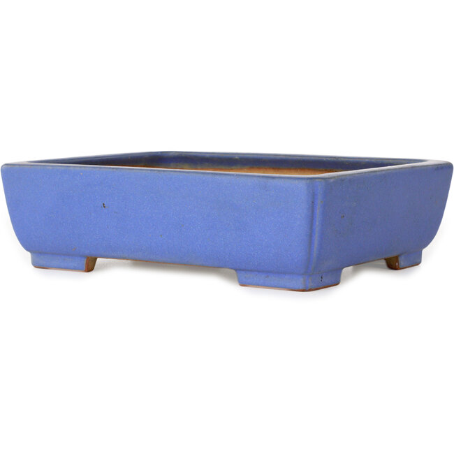 Rectangular blue bonsai pot by Reiho - 260 x 200 x 73 mm