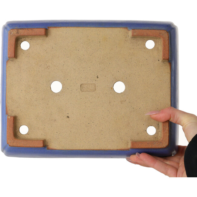 Rectangular blue bonsai pot by Reiho - 260 x 200 x 73 mm