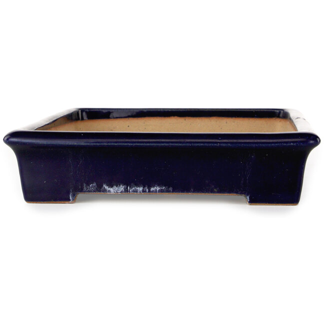 Rectangular dark blue bonsai pot by Reiho - 355 x 235 x 50 mm