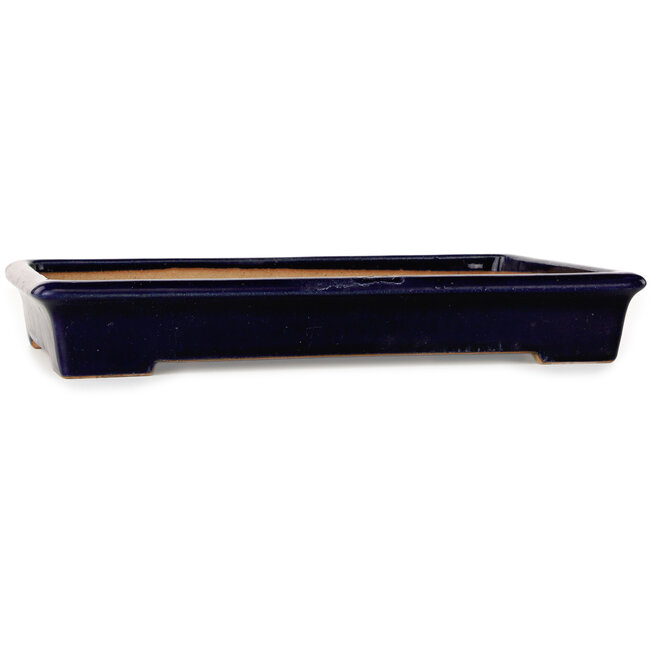 Rectangular dark blue bonsai pot by Reiho - 355 x 235 x 50 mm