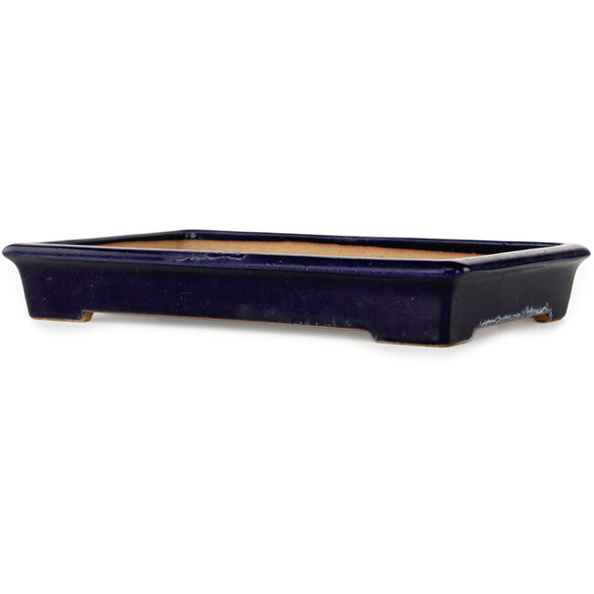 Rectangular dark blue bonsai pot by Reiho - 355 x 235 x 50 mm
