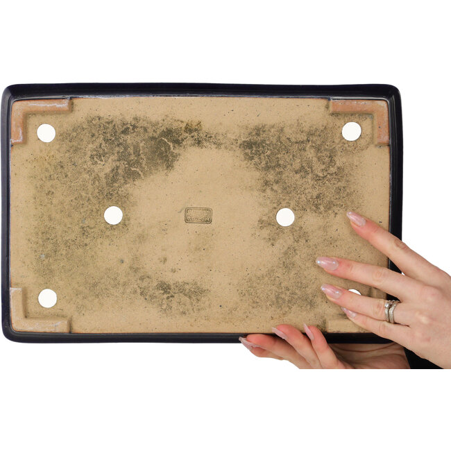 Rectangular dark blue bonsai pot by Reiho - 355 x 235 x 50 mm