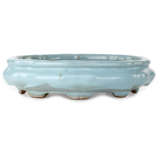  Shuuhou (Hidemi Kataoka) Vaso per bonsai craquelé azzurro chiaro di loto da 263 mm di Shuhou, Tokoname, Giappone