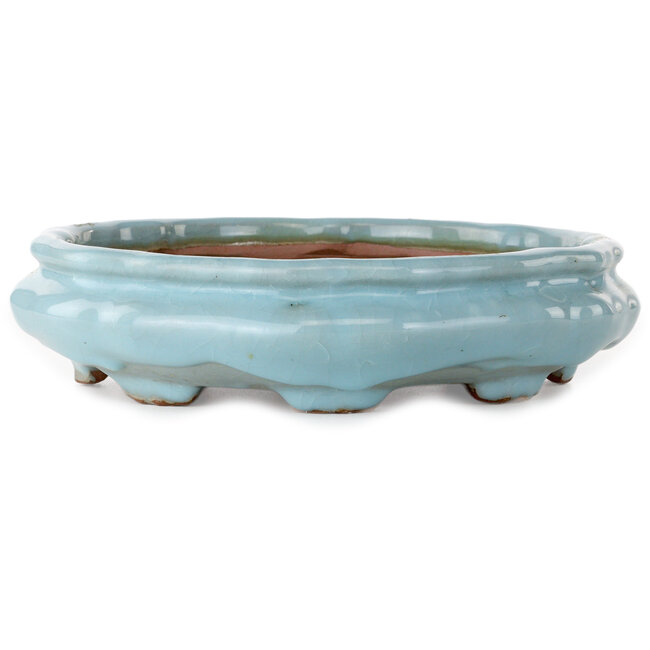 Maceta de bonsái Lotus craquelada azul claro de Shuhou - 263 x 263 x 63 mm