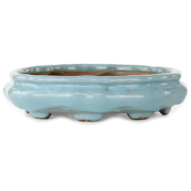 Vaso per bonsai Lotus craquelé azzurro chiaro di Shuhou - 263 x 263 x 63 mm