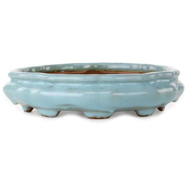 Maceta de bonsái Lotus craquelada azul claro de Shuhou - 263 x 263 x 63 mm