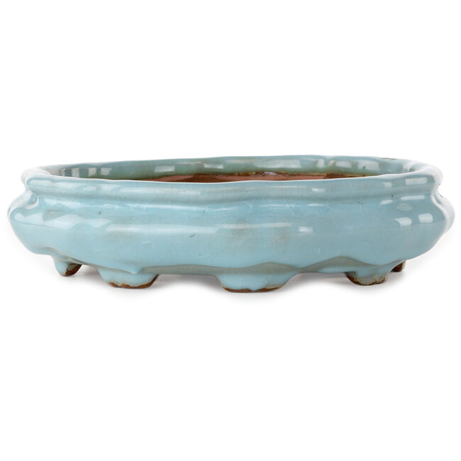 Pot à bonsaï Lotus bleu clair craquelé de Shuhou - 263 x 263 x 63 mm