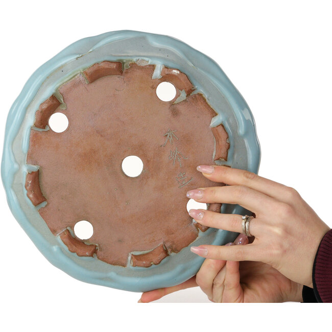 Lotus light blue craquelé bonsai pot by Shuhou - 263 x 263 x 63 mm