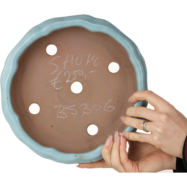 Pot à bonsaï Lotus bleu clair craquelé de Shuhou - 263 x 263 x 63 mm