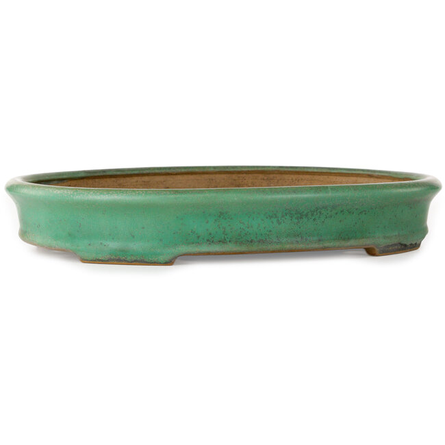 Oval green bonsai pot by Yamafusa - 345 x 270 x 55 mm