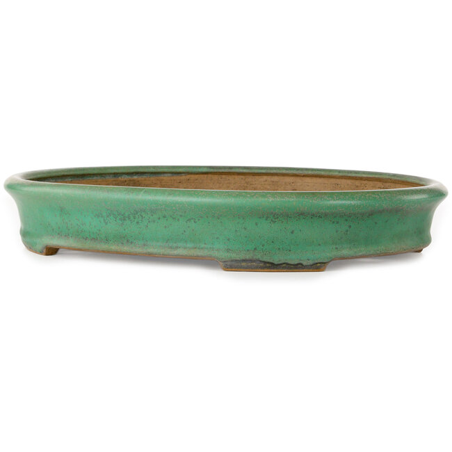 Oval green bonsai pot by Yamafusa - 345 x 270 x 55 mm