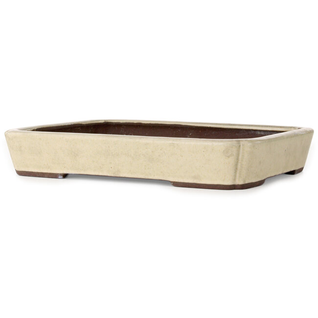 Oval off-wh bonsai pot by Yamaaki - 335 x 260 x 55 mm