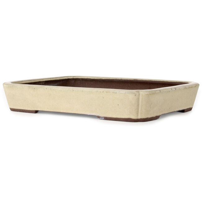 Oval off-wh bonsai pot by Yamaaki - 335 x 260 x 55 mm