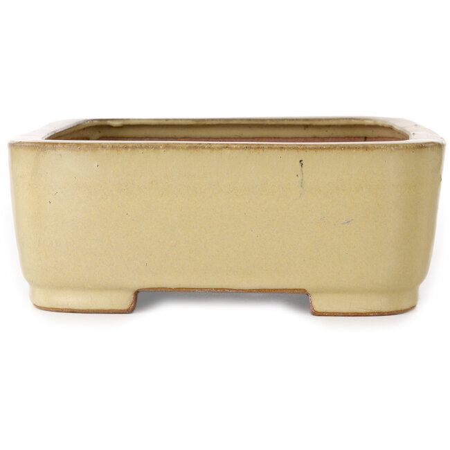 Ovale beige bonsaipot van Reiho - 315 x 240 x 85 mm