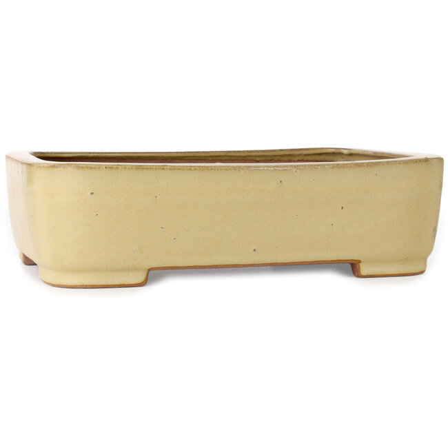 Rechteckiger beigefarbener Bonsai-Topf von Reiho – 315 x 240 x 85 mm