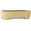Rechthoekige beige bonsaipot van Reiho - 315 x 240 x 85 mm