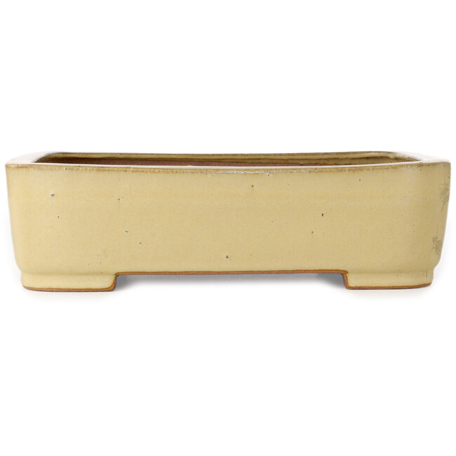 Pot à bonsaï ovale beige de Reiho - 315 x 240 x 85 mm