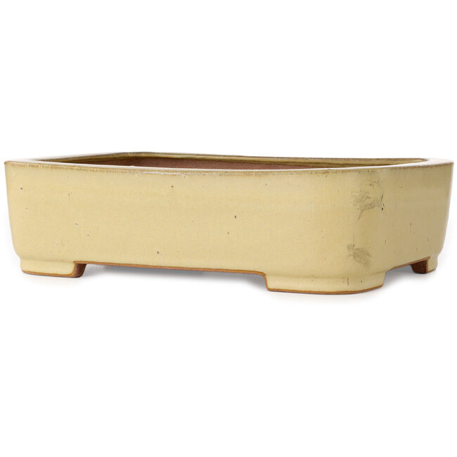 Maceta ovalada beige para bonsái de Reiho - 315 x 240 x 85 mm