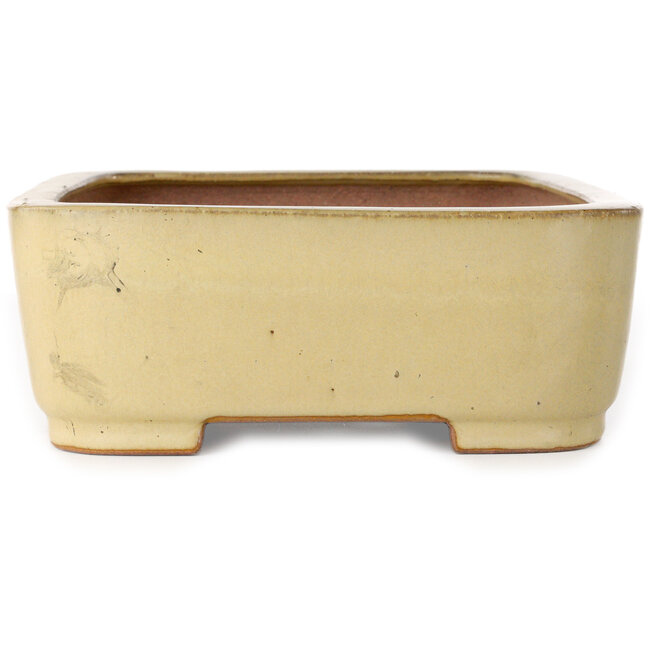 Maceta rectangular beige para bonsái de Reiho - 315 x 240 x 85 mm