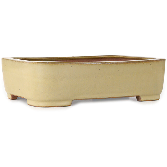 Pot à bonsaï rectangulaire beige de Reiho - 315 x 240 x 85 mm