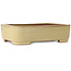 Pot à bonsaï ovale beige de Reiho - 315 x 240 x 85 mm