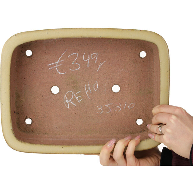 Maceta ovalada beige para bonsái de Reiho - 315 x 240 x 85 mm