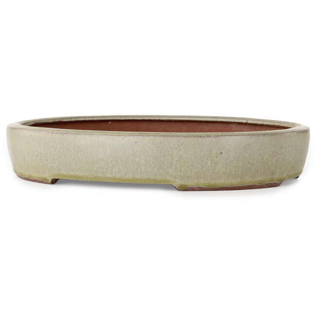 Pot à bonsaï ovale blanc cassé de Yozan - 313 x 250 x 53 mm