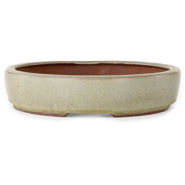 Ovaler, cremefarbener Bonsai-Topf von Yozan – 313 x 250 x 53 mm