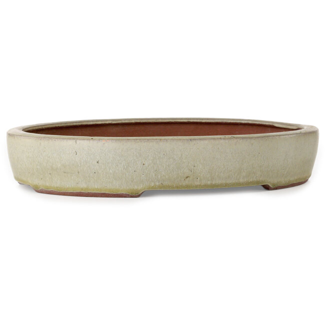 Pot à bonsaï ovale blanc cassé de Yozan - 313 x 250 x 53 mm