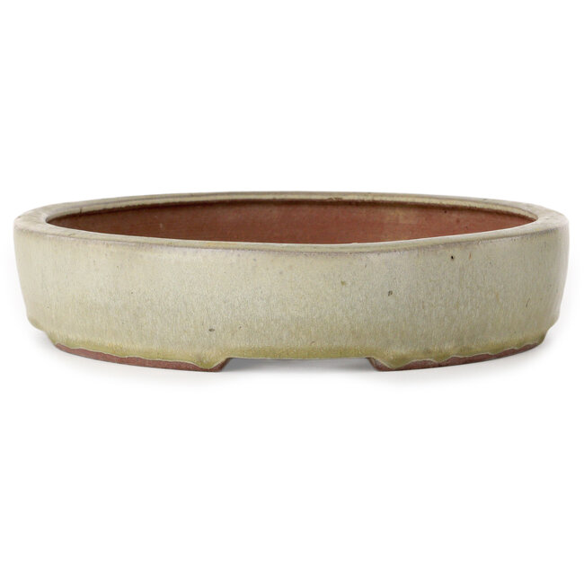 Pot à bonsaï ovale blanc cassé de Yozan - 313 x 250 x 53 mm
