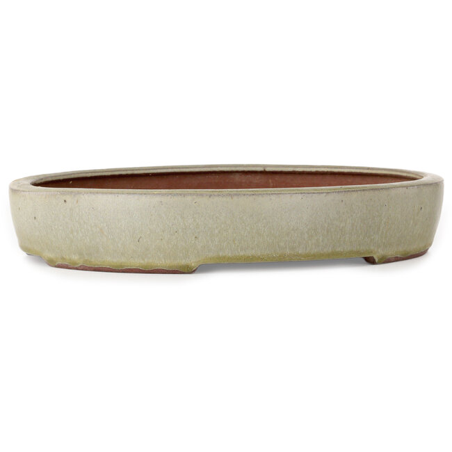Pot à bonsaï ovale blanc cassé de Yozan - 313 x 250 x 53 mm