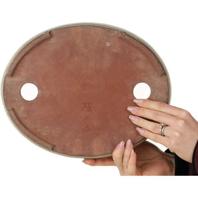 Pot à bonsaï ovale blanc cassé de Yozan - 313 x 250 x 53 mm