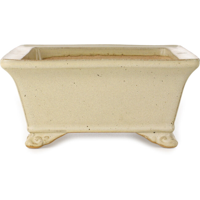 Maceta rectangular para bonsái de color blanco roto de Reiho - 272 x 212 x 97 mm